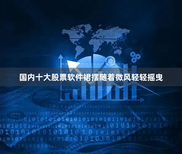 国内十大股票软件裙摆随着微风轻轻摇曳